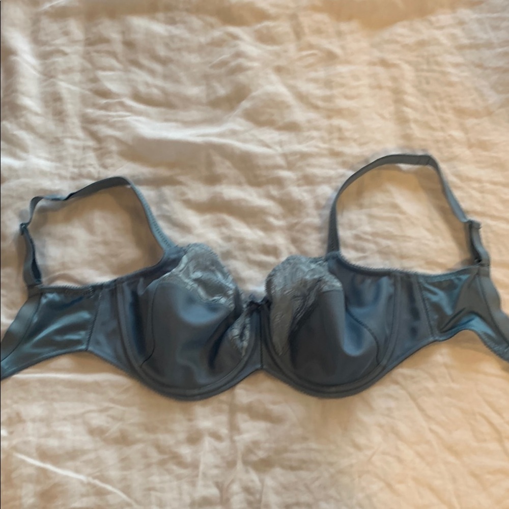 Blue Unlined Underwire Bra and Adjustable Straps NWT
